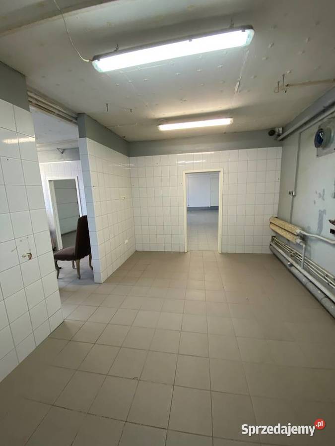 Do wynajęcia 230m Magazyn hala produkcja Warszawa