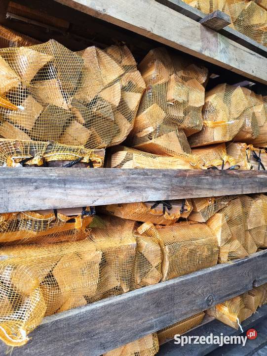 Brzoza buk suche drewno na ognisko grilla Bolesław