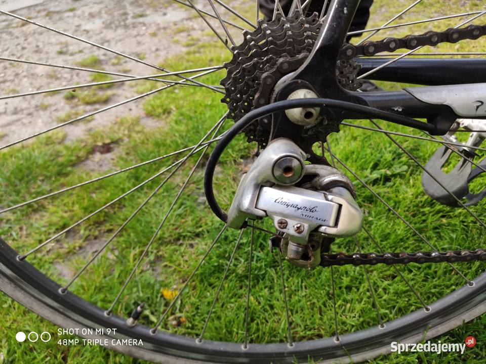 Kolarzówka pinarello campagnolo Sport i Wypoczynek Jaźwina