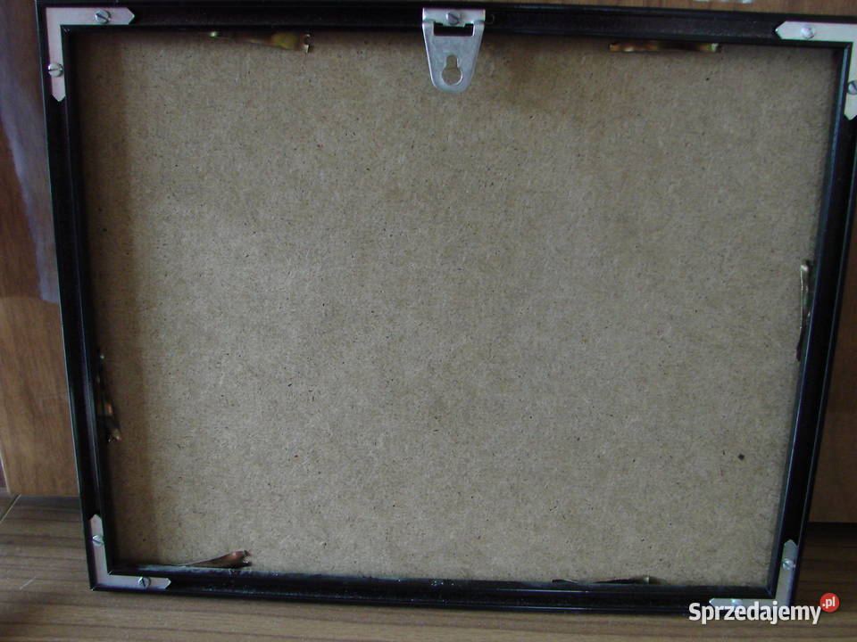 Obraz papirus 305x245 w ramce Dekoracje i ozdoby Lublin