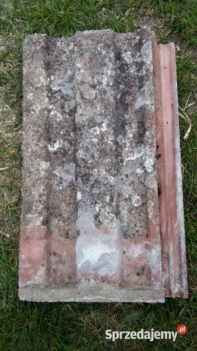 Stara dachówka betonowa Odry