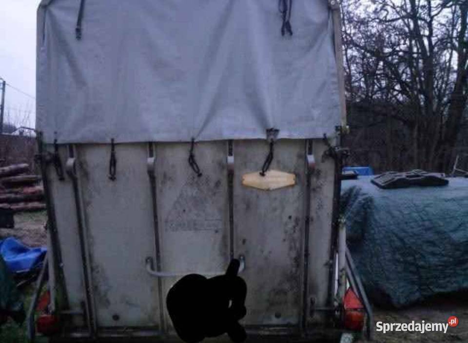 Przyczepa na dwa konie koniowóz Boeckman t2v 1200kg wielkopolskie