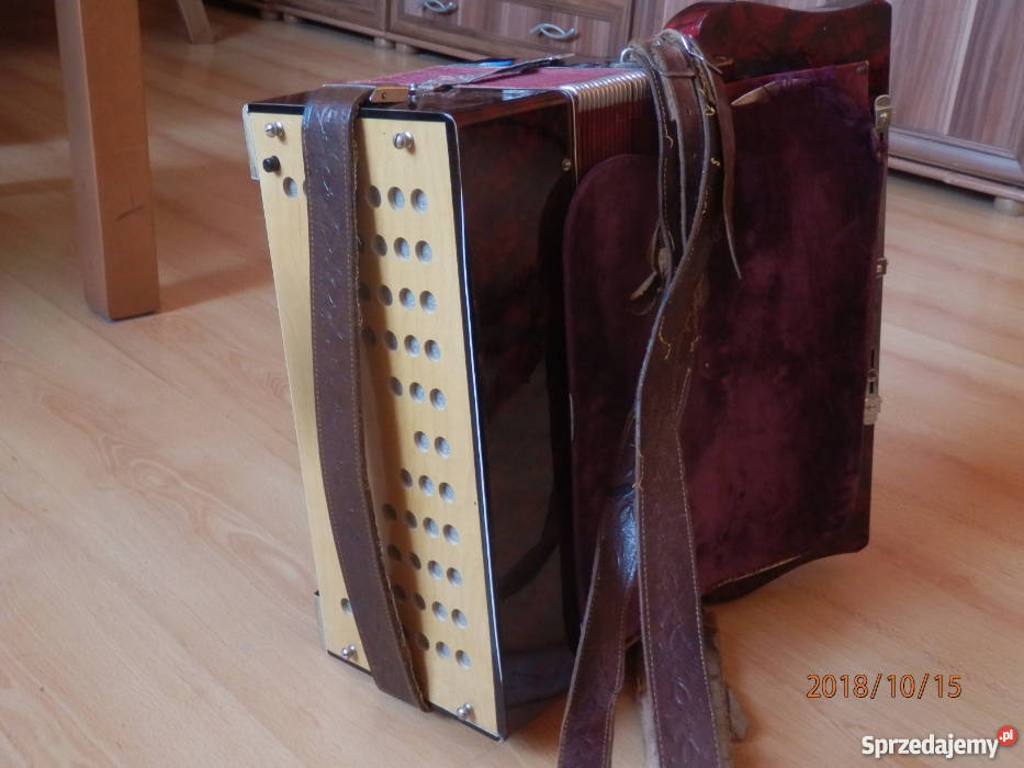 Akordeon hess Chronów