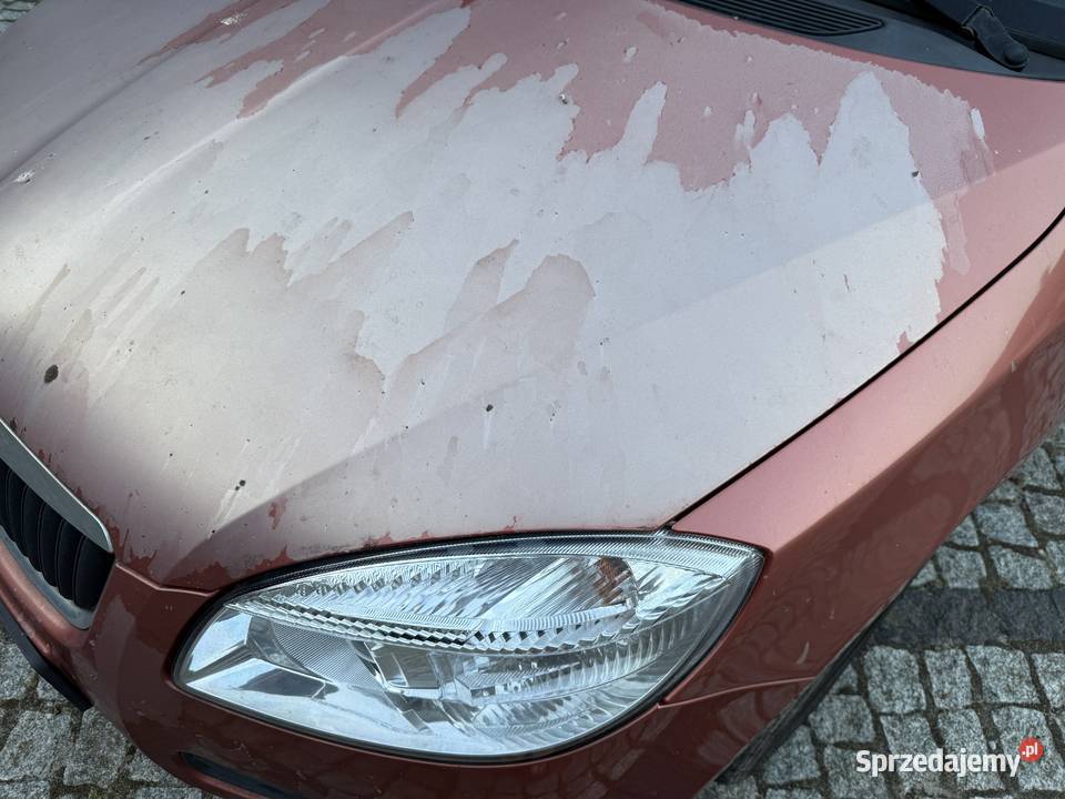 Skoda Fabia II pomorskie Gdańsk