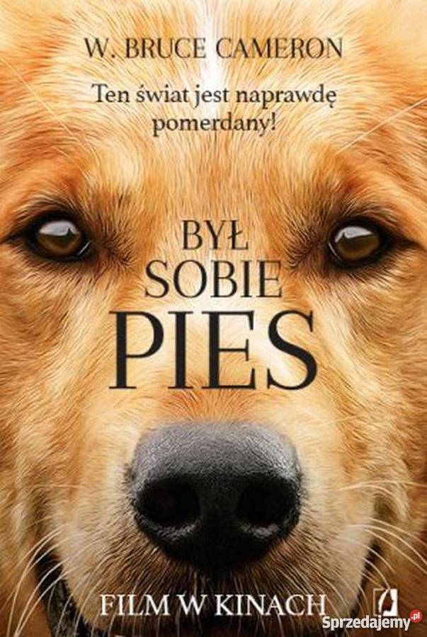 Książka płyta DVD Cameron Był sobie piesNowe Gorzów Wielkopolski