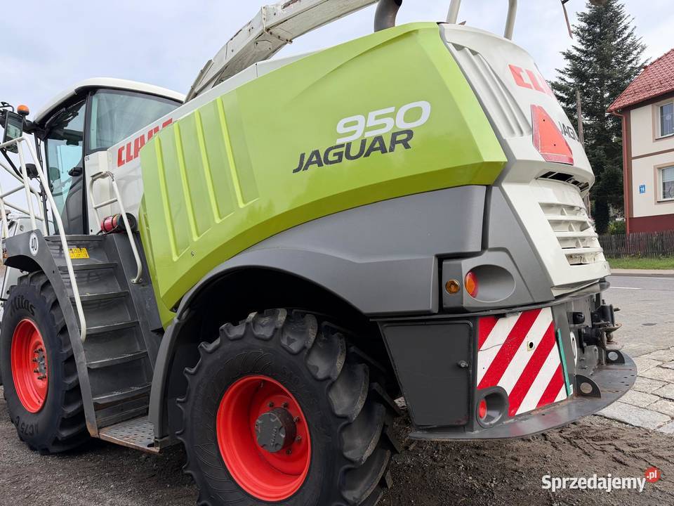 Sieczkarnia do kukurydzy Claas Jaguar 950 w