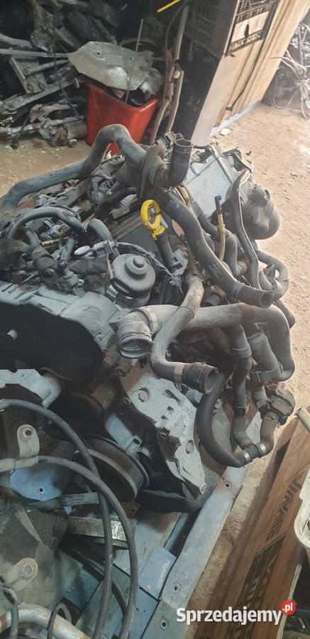 Silnik vw 16 tdi dcx dcxa osobowe Zielona Góra sprzedam