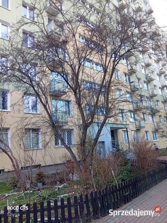 Sprzedam kawalerkę Warszawa Saska Kępa 28 M2 Liczba pokoi 1 sprzedam