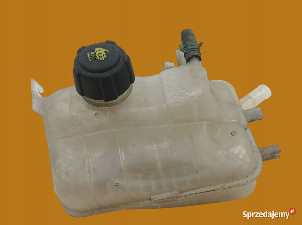 ZBIORNICZEK WYRÓWNAWCZY 217100005R Renault