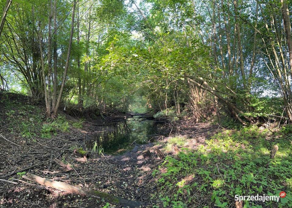 Działka z możliwością zabudowy Rudawica sprzedam