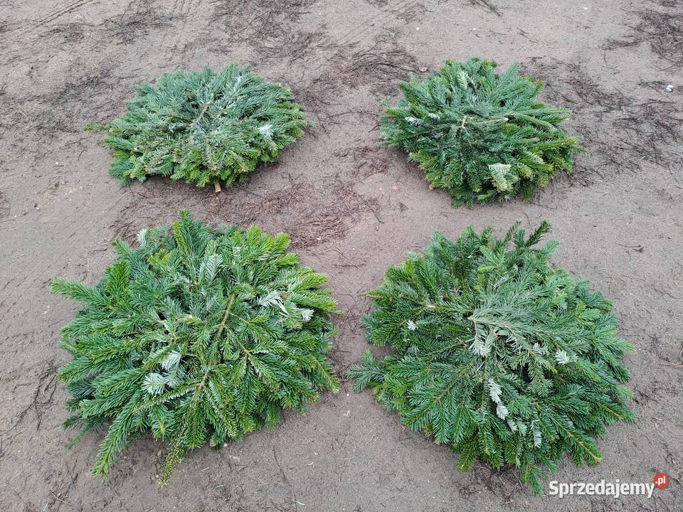 stelaż sztaluga podkłady pod wieńce pogrzebowe