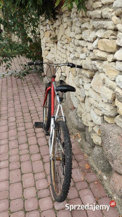 Sprzedam rower gurala Stęszew