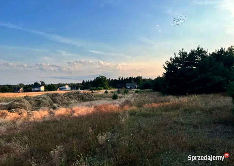 Działka budowlana Stęszów