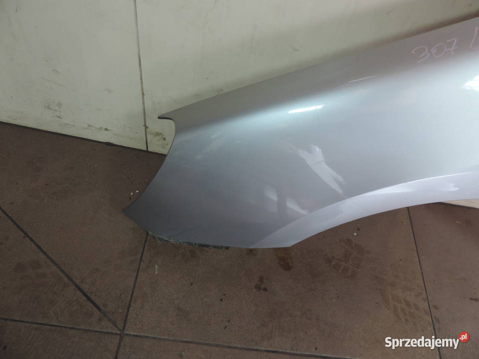 BŁOTNIK LEWY PRZEDNI PEUGEOT 307 EZAC