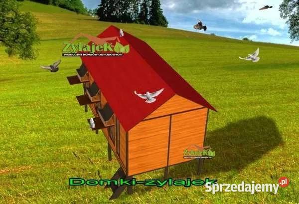 Gołębnik solidna konstrukcja wysyłka 200 500 Akcesoria dla zwierząt podkarpackie Korczyna
