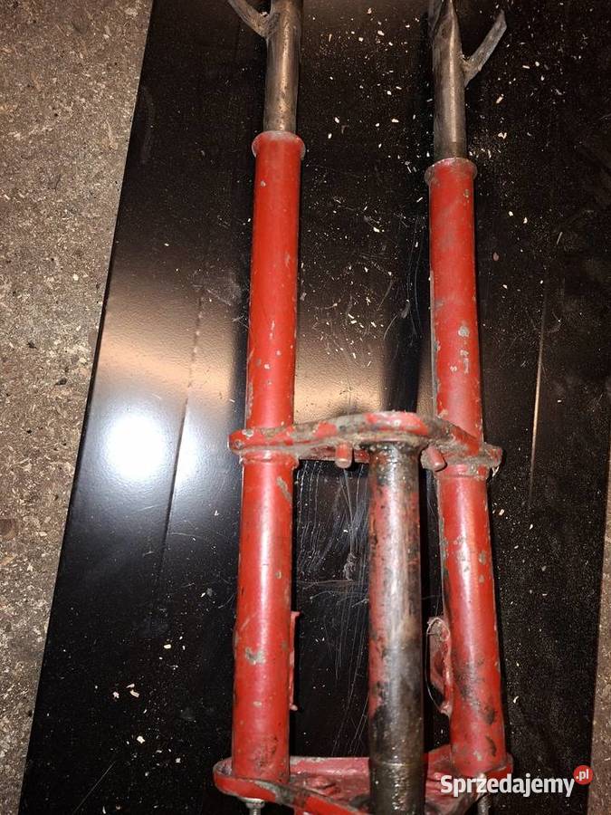 Ogar 200205 Oborniki Śląskie