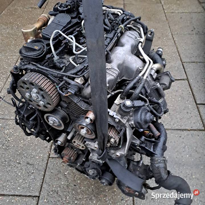 Audi A4 B8 A5 Seat Exeo 20 TDi silnik kompletny Jastrzębie-Zdrój