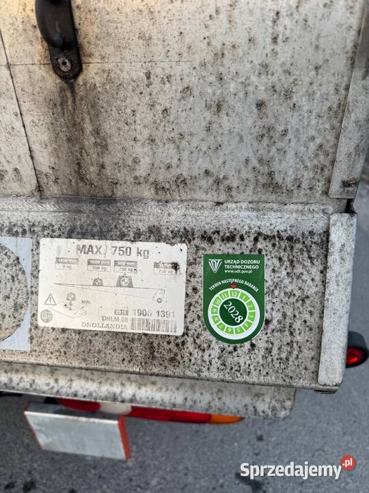 Renault Master WINDA biały Marki