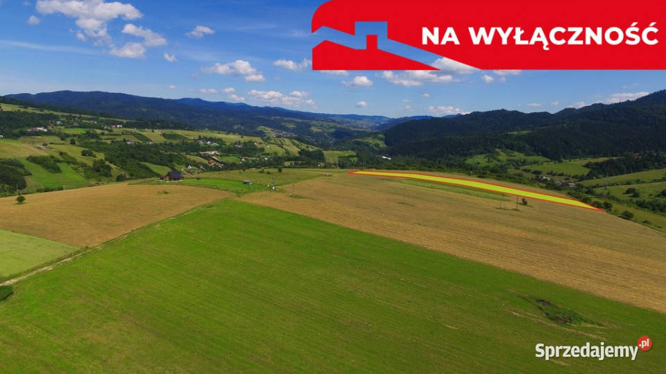 Działka w Grywałdzie 11003 ha warunki zabudowy Sprzedaż Grywałd