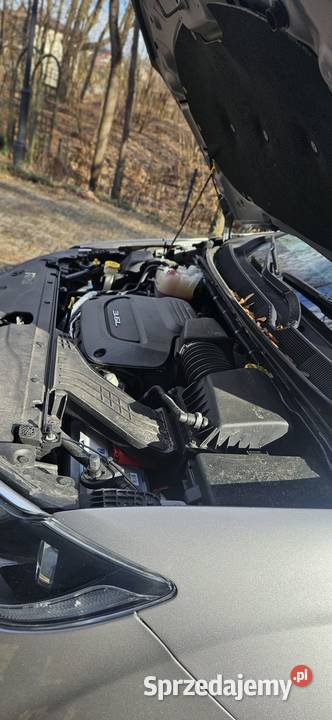 Chrysler Pacifica 2019r przebieg 46000 Janów Lubelski sprzedam