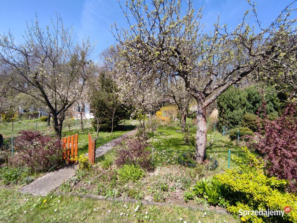 Działka ROD Łagiewniki Domek piwnica media prąd Łódź