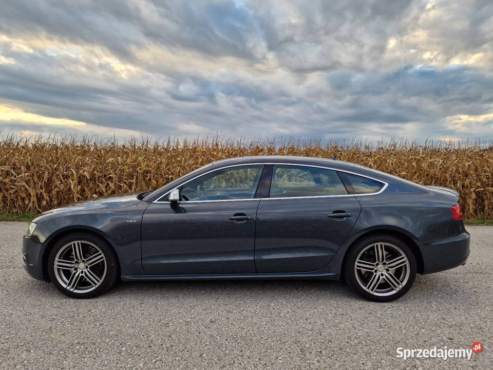 Audi S5 Sportback 30 TFSI 333 benzyna Nisko