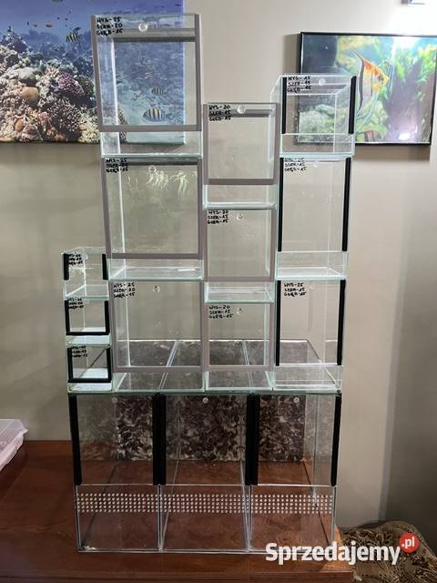 Sprzedam terraria Wiejca sprzedam