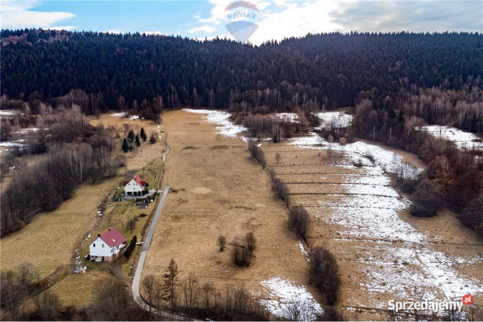 Duża 20 arów z dużym 2 HA prywatnym lasem śląskie Las sprzedam