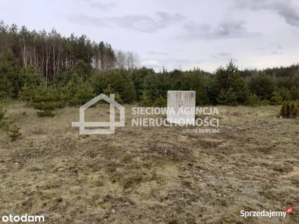 sprzedaży gruntu 42000m2 Przewóz Sprzedaż