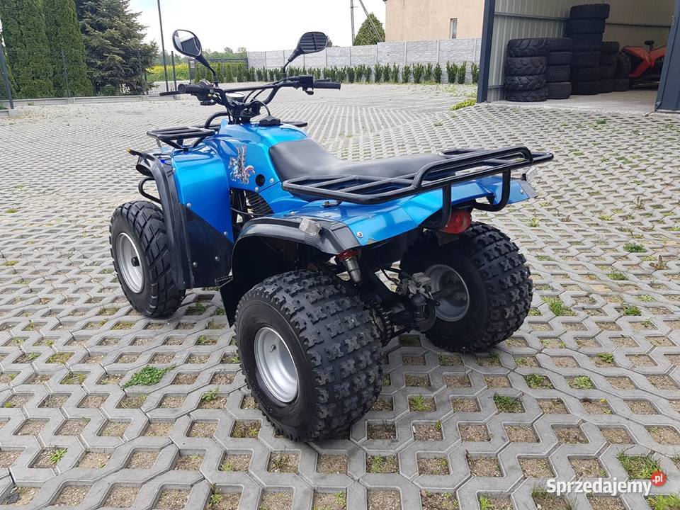 ADLY ATV 300 Super Stan Przebieg 1000 Dostawa