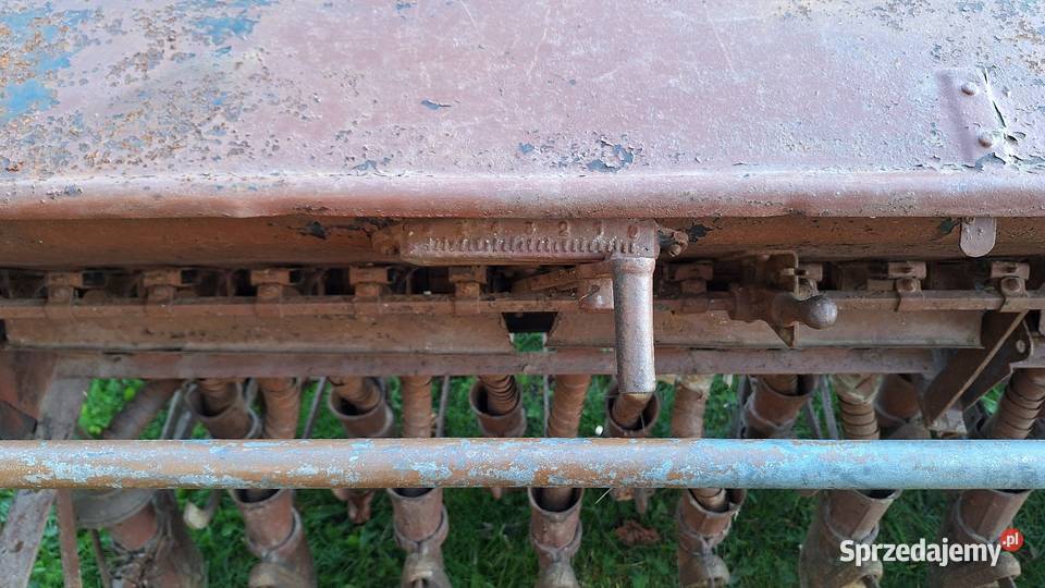 Siewnik konny 19 redlic Gołaczewy