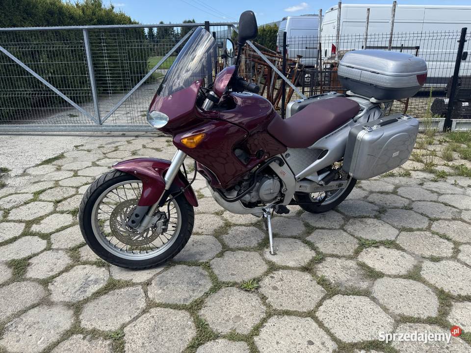 Aprilia pegaso 650 Żywiec