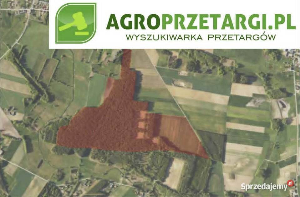 Dzierżawa 1501 ha gruntu rolnego Łomża sprzedam