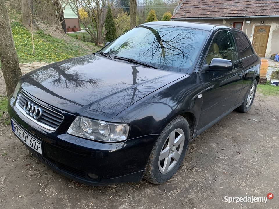 Audi A3 8l 19 TDI AXR xenon Ropczyce