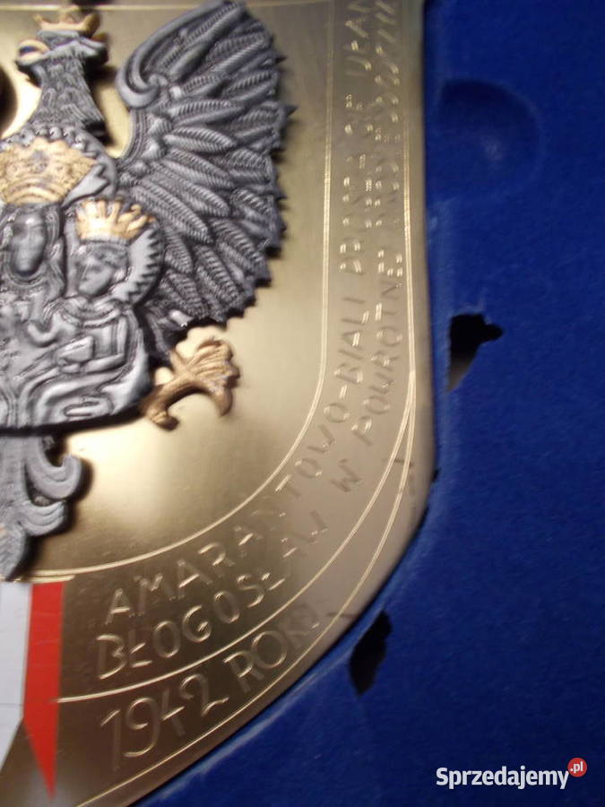 Ryngraf1szy Pułk Ułanów9 maja 1942Pod Twoją Pozostałe Szczecin