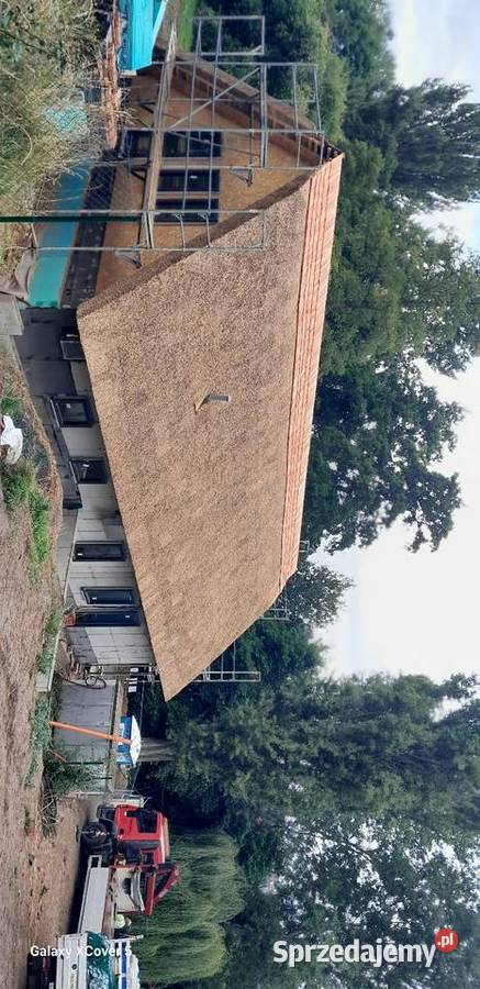 StrzechaAltany Trzebnica sprzedam