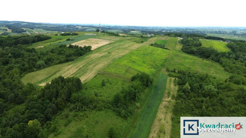 Działka Pruchnik Bieszczadzka 13463 metry podkarpackie