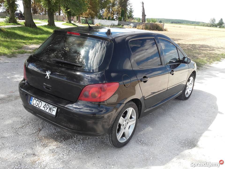 Peugeot 307 OKaZjA 4l/100 GolubDobrzyń Sprzedajemy.pl