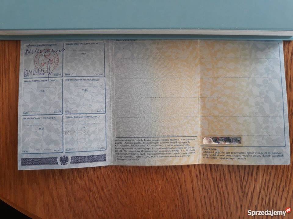 Przyczepa Wiola DMC 750 pomorskie