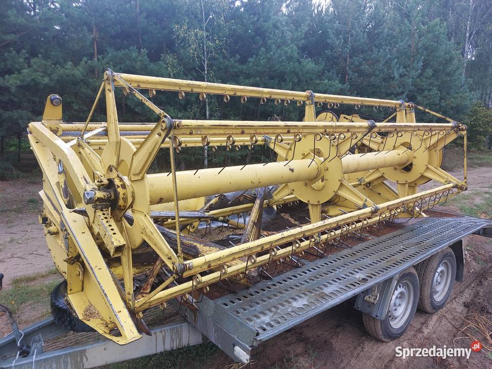 Heder holland 3m w kosie 15201530