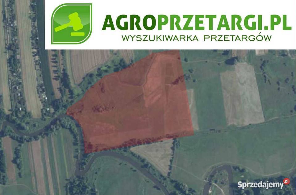 Dzierżawa 2759 ha gruntu rolnego Łęczna