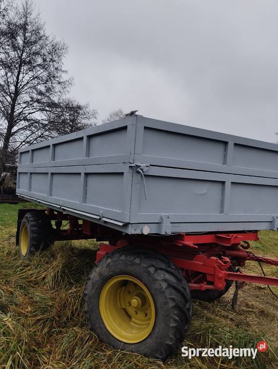 przyczepa hl 6011 Raszków sprzedam