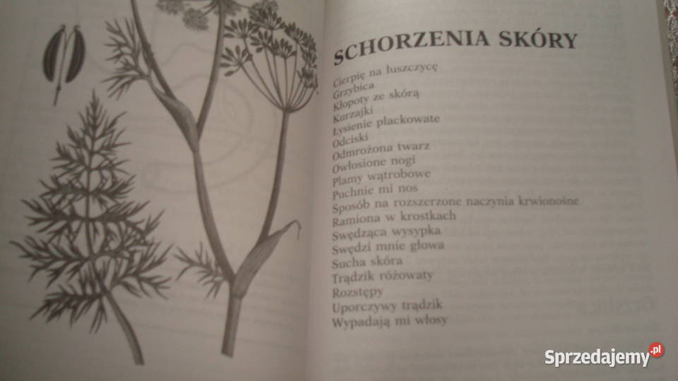 Apteka natury Górnicka k Zaczernie
