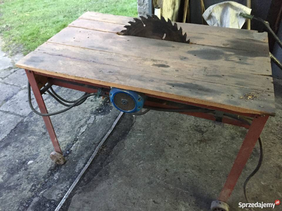 Trajzega Krajzega Piła Tarczowa Pozostałe Duniewo