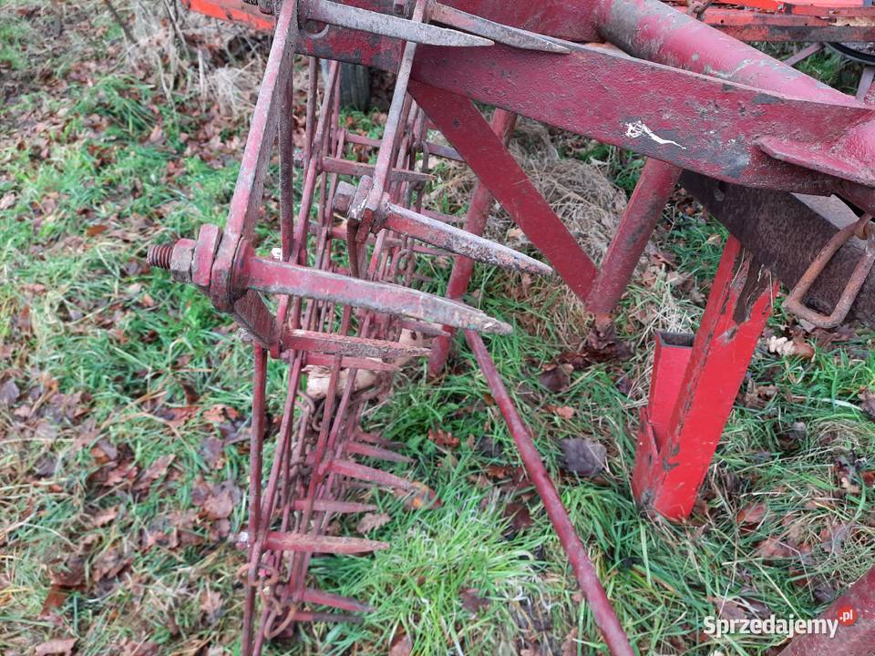 Brony 2 polowe małopolskie