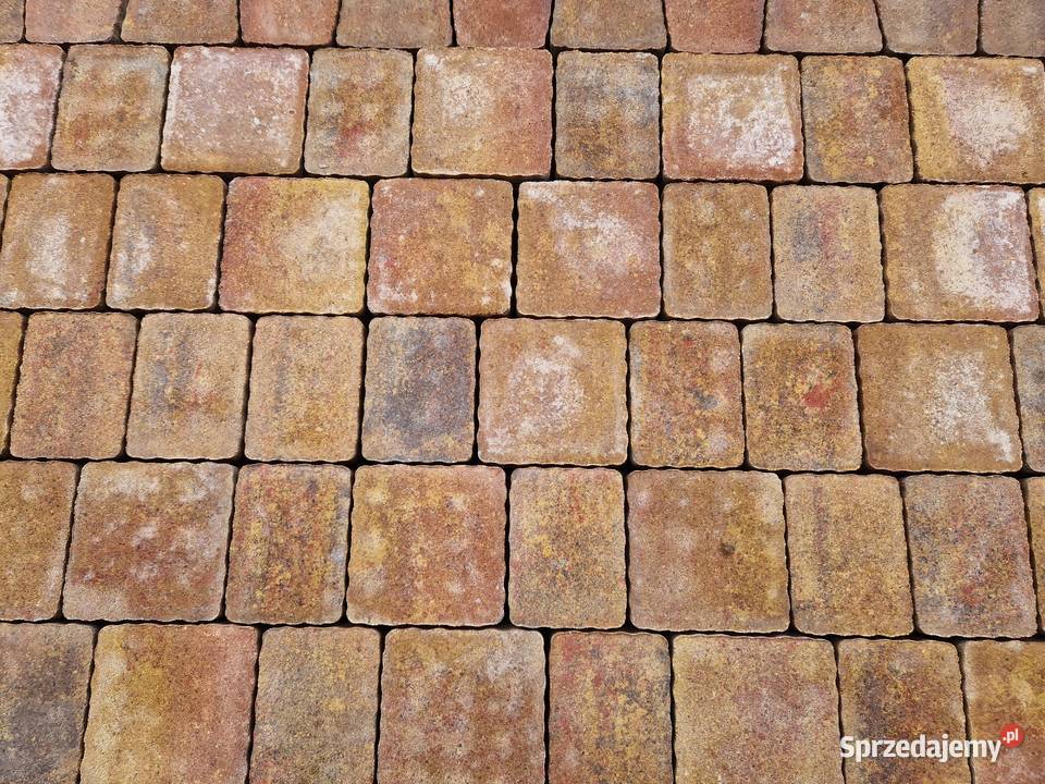 Kostka Brukowa Arco Picola 6 Jesień Podjazd Kostka brukowa mazowieckie Wielogóra