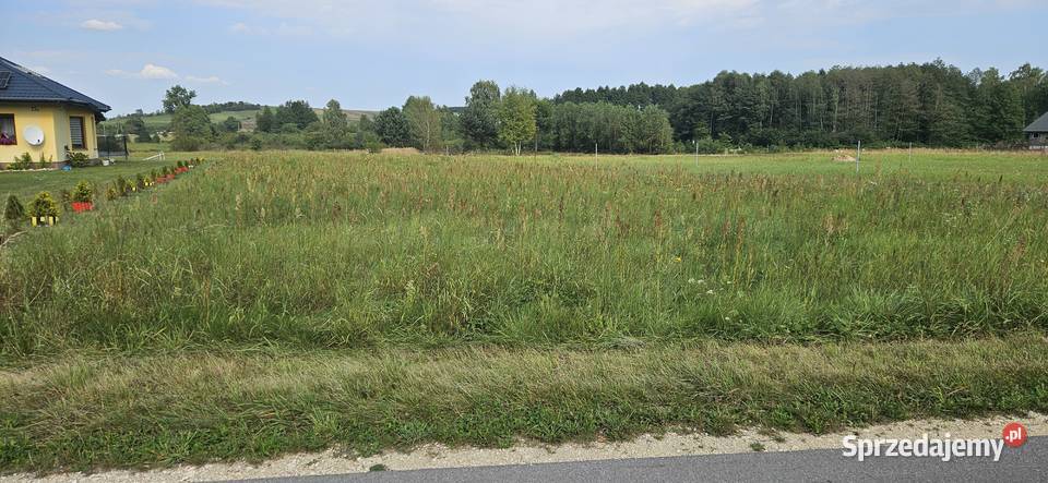 Udział 12 nieruchomości niezabudowanej Borowiec 6900m2 świętokrzyskie Krasocin