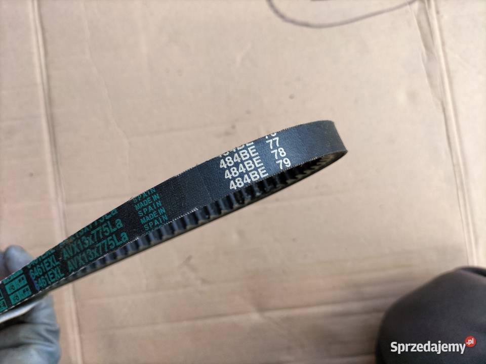 PASEK KLINOWY 12N357DA 6461EXL 44T342AC Kamień-Kolonia