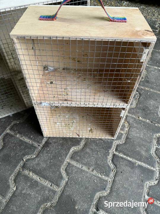 Budki lęgowe i transportówki wielkopolskie Pawłowice