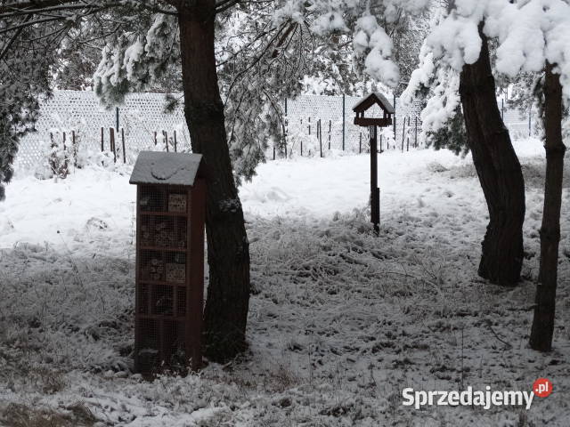 Działka na Kaszubach w bliskim otoczeniu lasów i Bytów